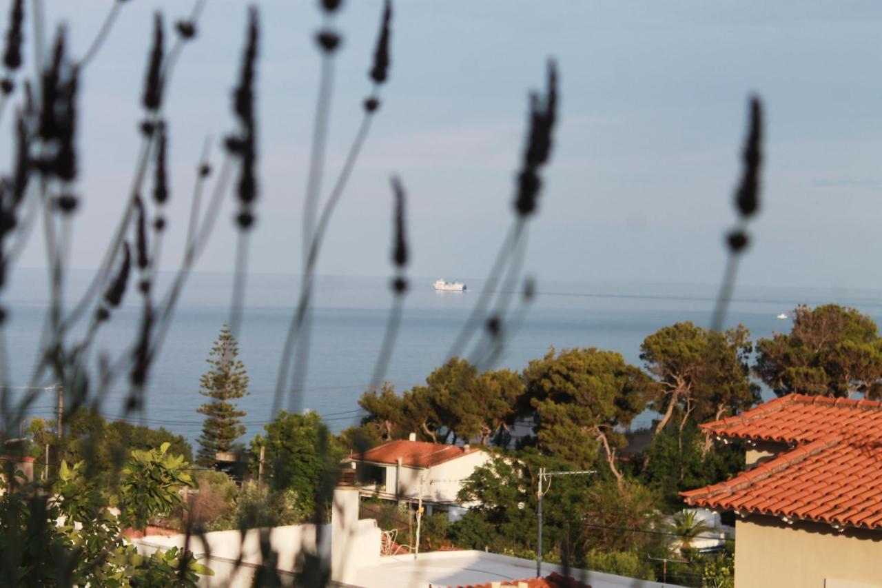 Sea View Apartment 15 Min From Athens Airport Néa Mákri Zewnętrze zdjęcie